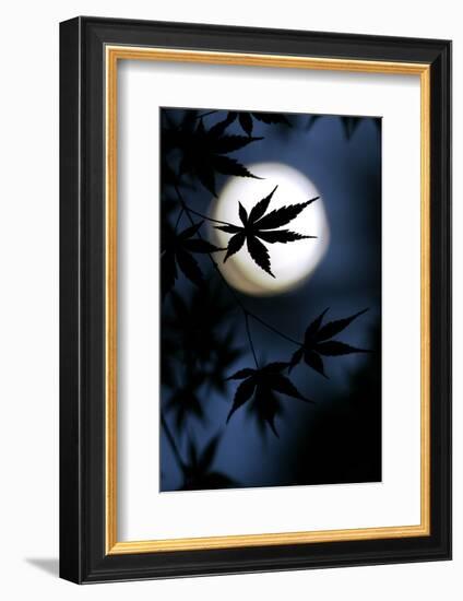 Color of Japan-Kouji Tomihisa-Framed Photographic Print