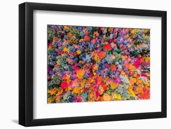 Color palette-Marco Carmassi-Framed Photographic Print