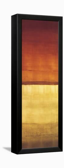Color Panel III-Randy Hibberd-Framed Stretched Canvas