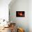 Color Play-Philippe Sainte-Laudy-Photographic Print displayed on a wall
