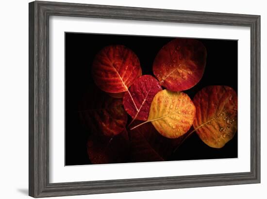 Color Play-Philippe Sainte-Laudy-Framed Photographic Print