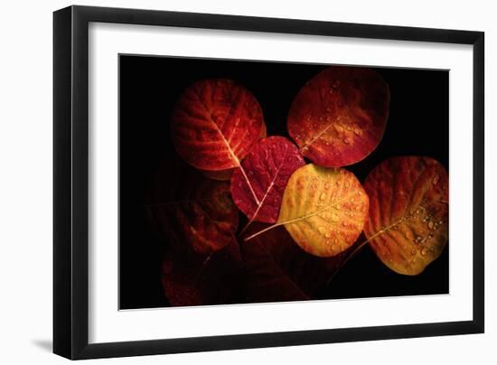 Color Play-Philippe Sainte-Laudy-Framed Photographic Print