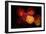 Color Play-Philippe Sainte-Laudy-Framed Photographic Print