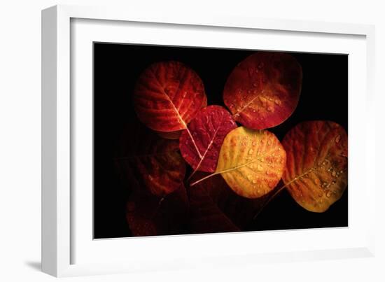 Color Play-Philippe Sainte-Laudy-Framed Photographic Print