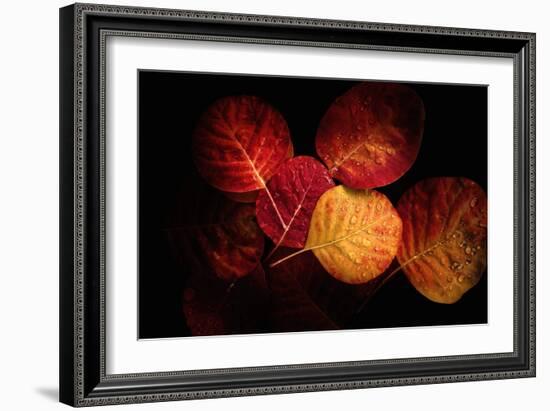 Color Play-Philippe Sainte-Laudy-Framed Photographic Print