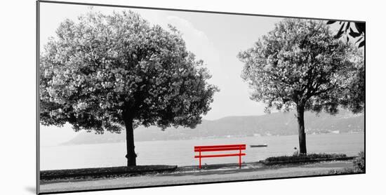 Color Pop, Blooming trees at the lakeside, Lake Maggiore, Italy, Living Coral-null-Mounted Photographic Print