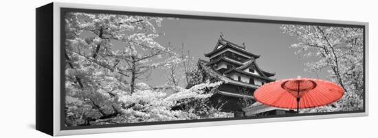 Color Pop, Cherry Blossom Matsue Castle Japan, Living Coral-null-Framed Stretched Canvas