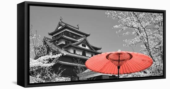 Color Pop, Cherry Blossom Matsue Castle Japan, Living Coral-null-Framed Stretched Canvas