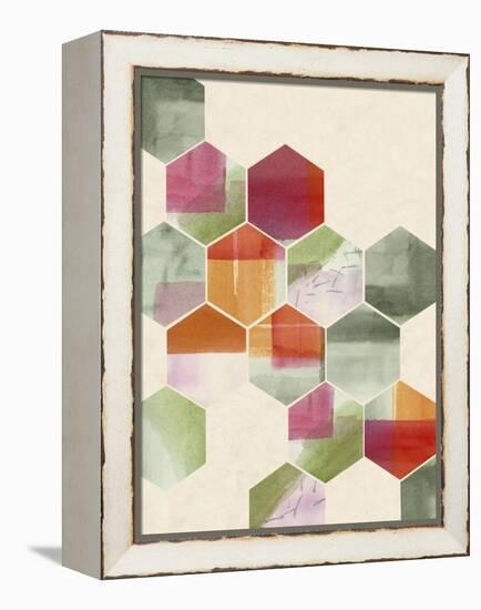 Color Pop Honeycomb I-Grace Popp-Framed Stretched Canvas