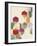 Color Pop Honeycomb II-Grace Popp-Framed Art Print
