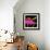 Color Pop I-Tina Lavoie-Framed Giclee Print displayed on a wall