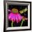 Color Pop I-Tina Lavoie-Framed Giclee Print