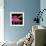 Color Pop I-Tina Lavoie-Framed Giclee Print displayed on a wall