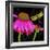 Color Pop I-Tina Lavoie-Framed Giclee Print