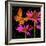 Color Pop II-Tina Lavoie-Framed Giclee Print