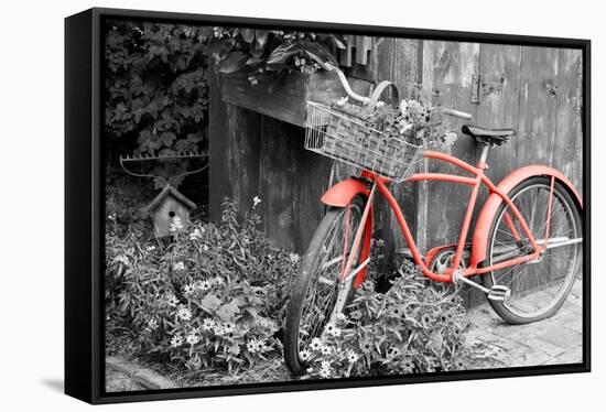 Color Pop, Old bicycle with flower basket next to old outhouse garden shed, Marion County, IL-null-Framed Premier Image Canvas