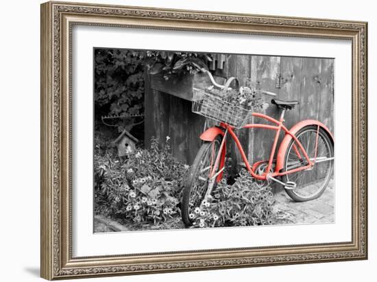 Color Pop, Old bicycle with flower basket next to old outhouse garden shed, Marion County, IL-null-Framed Photographic Print