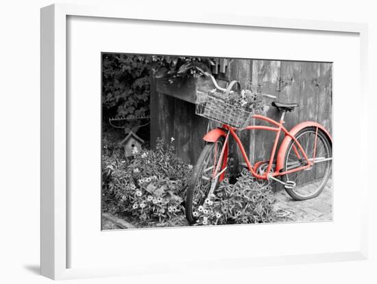 Color Pop, Old bicycle with flower basket next to old outhouse garden shed, Marion County, IL-null-Framed Photographic Print