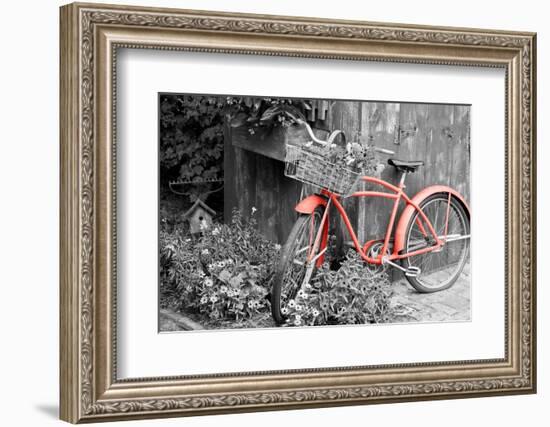 Color Pop, Old bicycle with flower basket next to old outhouse garden shed, Marion County, IL-null-Framed Photographic Print