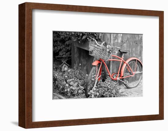 Color Pop, Old bicycle with flower basket next to old outhouse garden shed, Marion County, IL-null-Framed Photographic Print