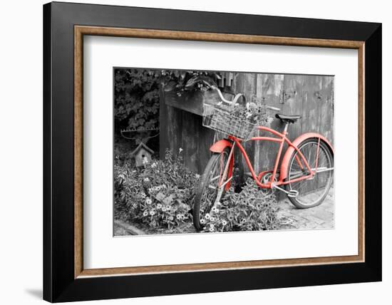 Color Pop, Old bicycle with flower basket next to old outhouse garden shed, Marion County, IL-null-Framed Photographic Print