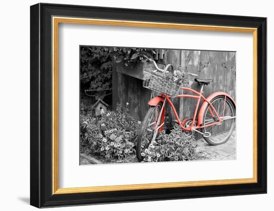 Color Pop, Old bicycle with flower basket next to old outhouse garden shed, Marion County, IL-null-Framed Photographic Print