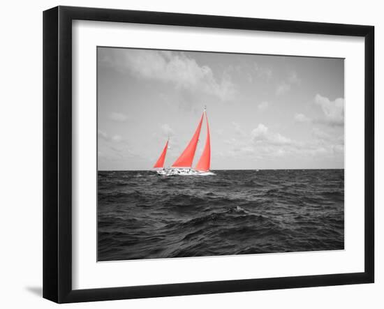 Color Pop, Sailboat in the sea, Bahamas, Living Coral-null-Framed Photographic Print