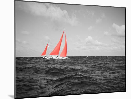 Color Pop, Sailboat in the sea, Bahamas, Living Coral-null-Mounted Photographic Print