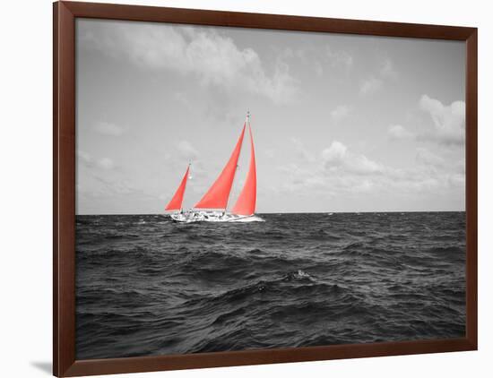 Color Pop, Sailboat in the sea, Bahamas, Living Coral-null-Framed Photographic Print