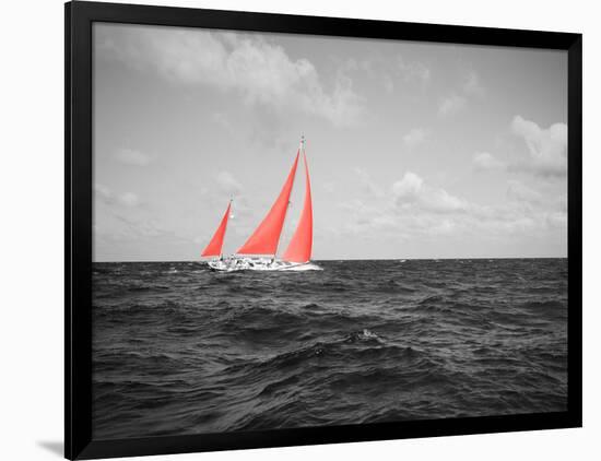 Color Pop, Sailboat in the sea, Bahamas, Living Coral-null-Framed Photographic Print