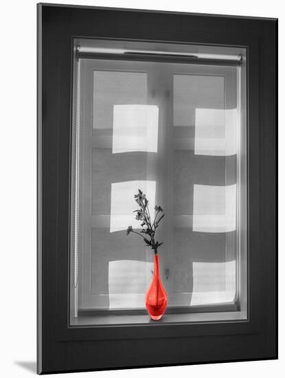 Color Pop, Window and flower vase, Living Coral-null-Mounted Photographic Print