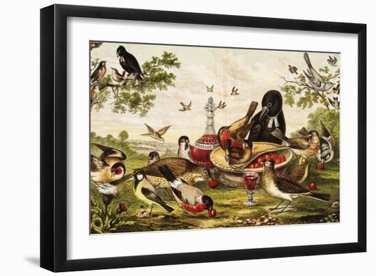 Color Print of Birds Feasting on a Fruit Pie-null-Framed Giclee Print