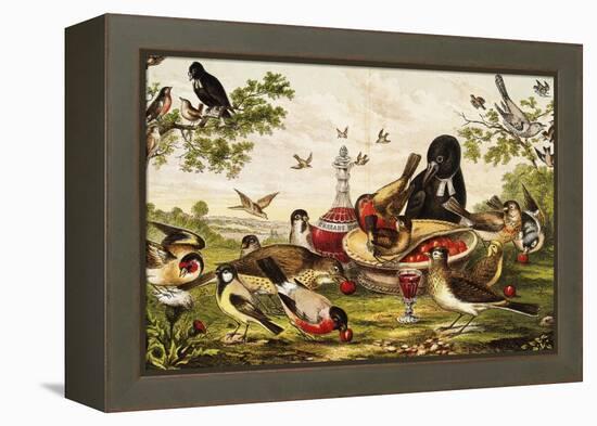 Color Print of Birds Feasting on a Fruit Pie-null-Framed Premier Image Canvas