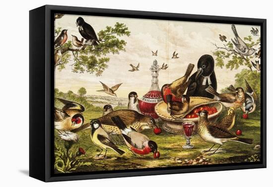 Color Print of Birds Feasting on a Fruit Pie-null-Framed Premier Image Canvas