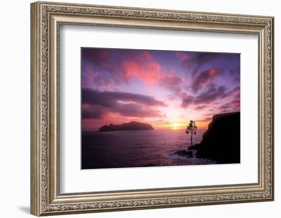 Color Reign-Philippe Sainte-Laudy-Framed Photographic Print