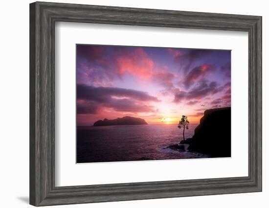 Color Reign-Philippe Sainte-Laudy-Framed Photographic Print