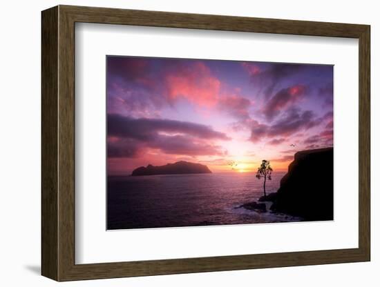 Color Reign-Philippe Sainte-Laudy-Framed Photographic Print