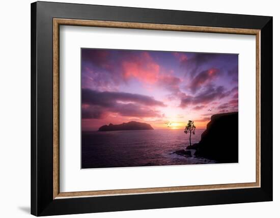 Color Reign-Philippe Sainte-Laudy-Framed Photographic Print