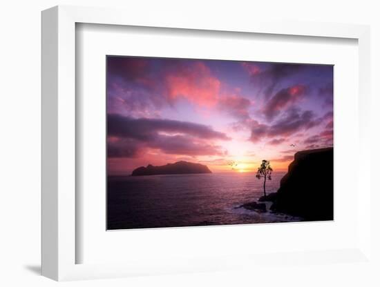 Color Reign-Philippe Sainte-Laudy-Framed Photographic Print