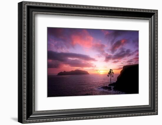 Color Reign-Philippe Sainte-Laudy-Framed Photographic Print