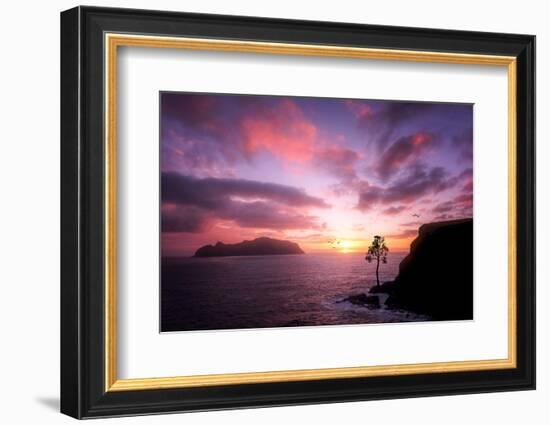 Color Reign-Philippe Sainte-Laudy-Framed Photographic Print