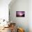 Color Reign-Philippe Sainte-Laudy-Photographic Print displayed on a wall
