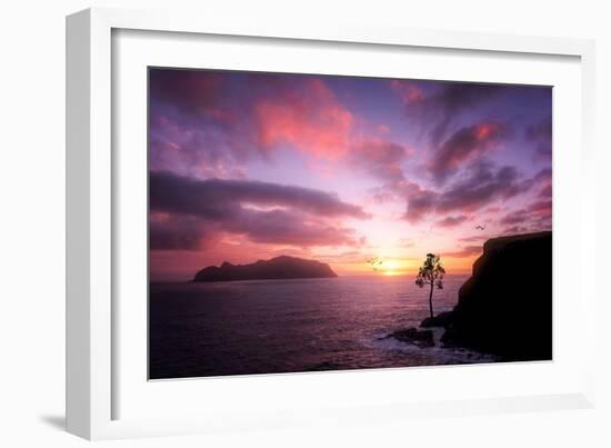 Color Reign-Philippe Sainte-Laudy-Framed Photographic Print