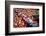 Color Splash Of Nature-George Oze-Framed Photographic Print