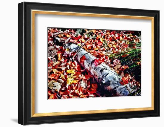 Color Splash Of Nature-George Oze-Framed Photographic Print