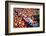 Color Splash Of Nature-George Oze-Framed Photographic Print