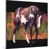 Color Square III-Julie Chapman-Mounted Art Print