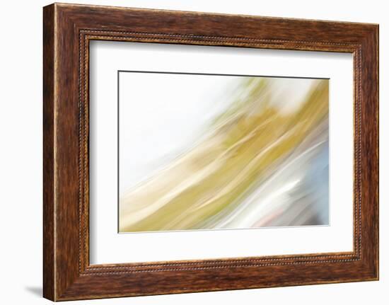 Color Streaks II-Karyn Millet-Framed Photographic Print