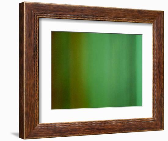 Color Works #5-Ruth Palmer 2-Framed Art Print