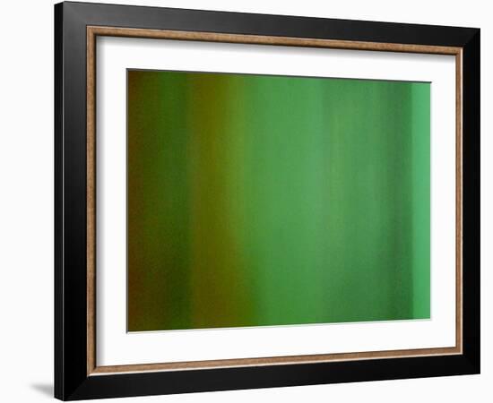 Color Works #5-Ruth Palmer 2-Framed Art Print